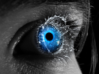 Blue eye closeup black white - a blue eye free wallpaper