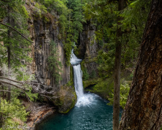 Waterfall forest river trees nature 2 - a waterfall in a forest free wallpaper