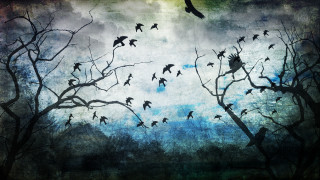 Flock birds flying tree forest - bird free wallpaper for desktop