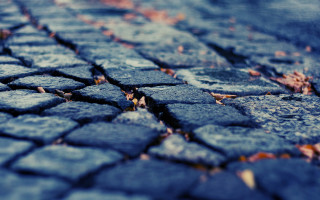 Close up street leaves stop - detailed texture free wallpaper