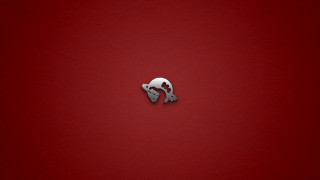 Red background white black cat - back side free wallpaper for desktop