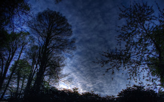 Blue sky clouds trees foreground 2 - wide angle len free wallpaper