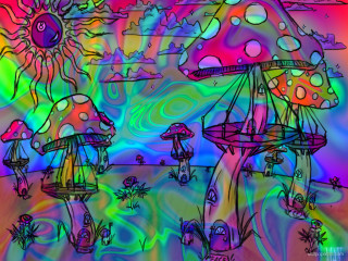 Psychedelic mushrooms sunflowers rainbow sky - psychedelic free wallpaper