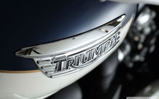 Motorcycle closeup triumph emblem black - a close up of a motorcycle free wallpaper