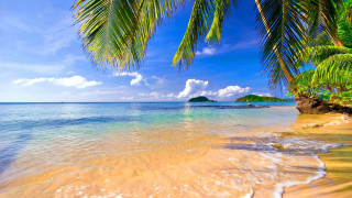 Beach palm tree island blue - a small island in the distance free wallpaper for desktop