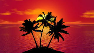 Sunset palm trees island ocean - felipe seade free wallpaper