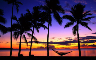 Hammock palm trees beach sunset 2 - a hammock free wallpaper