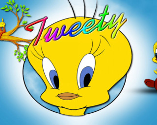 Cartoon character twenty bird head - his head free wallpaper