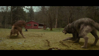 Dogs playing field red house - two dog free wallpaper for desktop