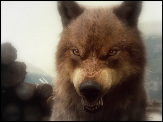 Wolf grin mountain snow background - a big grin free wallpaper for desktop