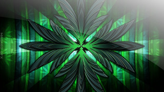 Green flower bamboo jungle light - a green flower free wallpaper for desktop