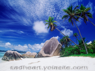 Beach palm trees rock sky - matte painting free wallpaper