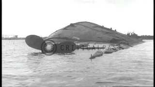 Large boat water bird side - armin hansen free wallpaper for desktop