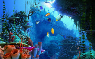 Underwater coral fish boat photorealism - underwater free wallpaper for desktop