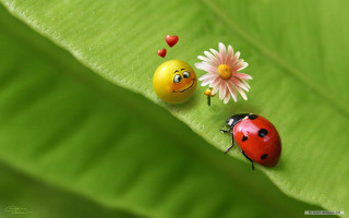 Ladybugs green leaf flower smiley - left free wallpaper