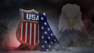 Bald eagle american flag shield - bald free wallpaper