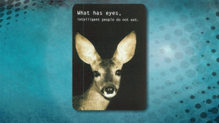 Deer what has eyes image - eye free wallpaper for desktop