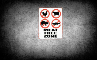 Meat free zone cow galaxy - a red circle free wallpaper