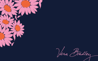 Blue pink background pink flowers - the bottom of the image free wallpaper for desktop