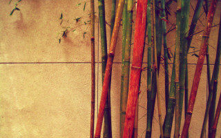 Bamboo sticks wall tile background - against a wall free wallpaper