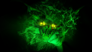 Green cat glowing eyes glowing - hair free wallpaper for desktop