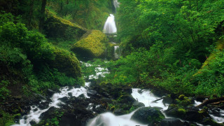 Waterfall forest rocks trees stream 6 - the middle of the forest free wallpaper