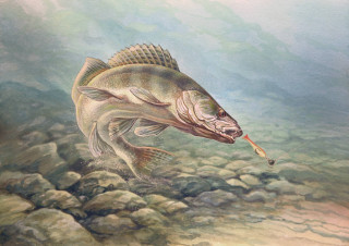 Fish hook fish mouth painting - ultra realistic illustration free wallpaper