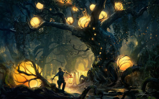 Man forest tree lights lantern - a forest next free wallpaper