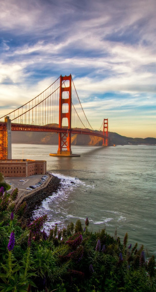 Golden gate bridge bay area - photo free wallpaper for mobile