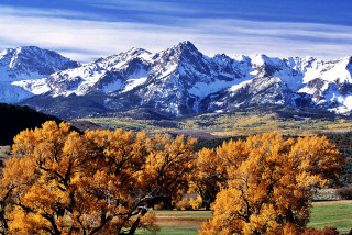 Mountain range snow trees autumn - yellow leaf free wallpaper