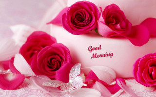 Pink cake roses butterfly good 3 - a good morning message free wallpaper