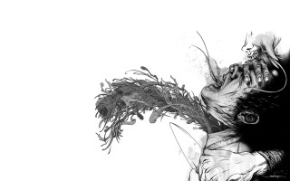 Woman holding cat background bird - carne griffiths free wallpaper