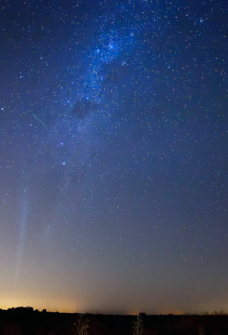 Night sky bright star distant - free sky wallpaper for mobile