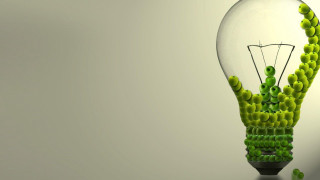 Light bulb green plant inside - a light bulb free wallpaper for desktop