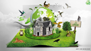 Eco green book house animals - a sign free wallpaper
