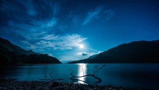 Tree branch water night full - moonlight free wallpaper for desktop