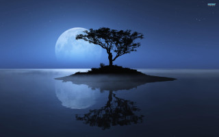Tree island ocean night full 4 - moonlight free wallpaper for desktop