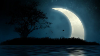 Night moon tree hill water - a night scene free wallpaper