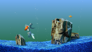 Fish swimming aquarium rocks gravel - a large aquarium free wallpaper