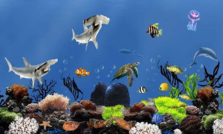 Fish aquarium corals marine life - other fish free wallpaper