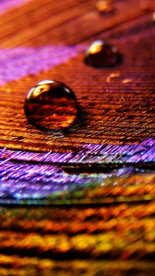 Water drop colorful surface wooden - wooden free wallpaper for mobile