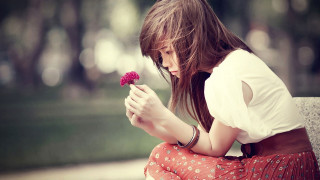 Woman bench flower phone looking - her phone free wallpaper