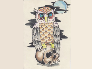 Owl skull drawing half moon - a half moon in the background free wallpaper