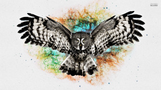 Bird wing psychedelic owl fire - a large wing free wallpaper