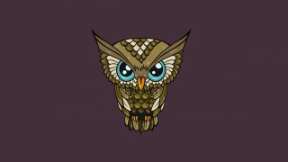 Owl blue eyes purple background - an owl free wallpaper