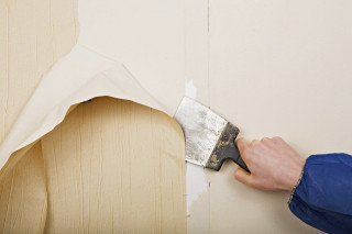 Person paintbrush painting wall white 2 - paper texture free wallpaper