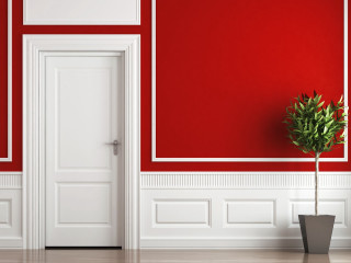 Potted plant red walls white - red wall free wallpaper
