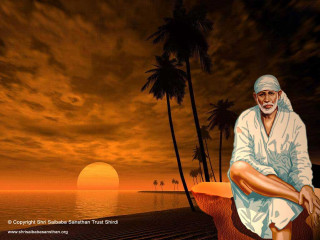 Man sitting wall ocean palm - palm tree and a sunset in the background free wallpaper