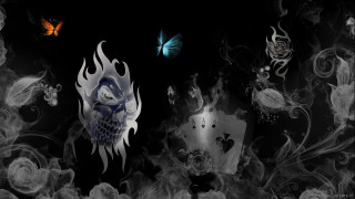 Black background white owl butterfly - a blue butterfly free wallpaper