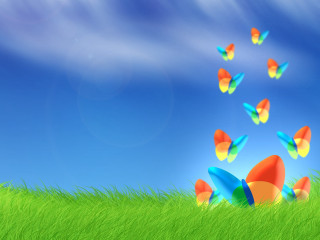 Colorful butterflies green field blue - a bright sun free wallpaper